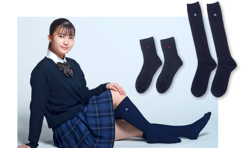 ソックス01