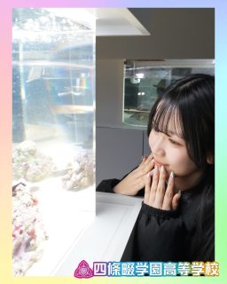 【発展キャリア】修学旅行 in札幌🐟✨

本校ホームページはコチラから↓
@sghs_insta

#四條畷学園高校
#ナワガク
#私立
#大阪の人気私立高校
#青春しようぜ
#修学旅行
#発展キャリアコース
#北海道
#水族館